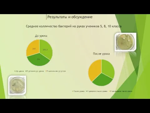 Результаты и обсуждение Среднее колличество бактерий на руках учеников 5, 8, 10 класса