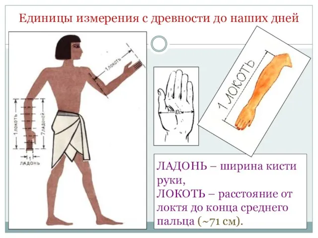 Единицы измерения с древности до наших дней ЛАДОНЬ – ширина кисти руки,