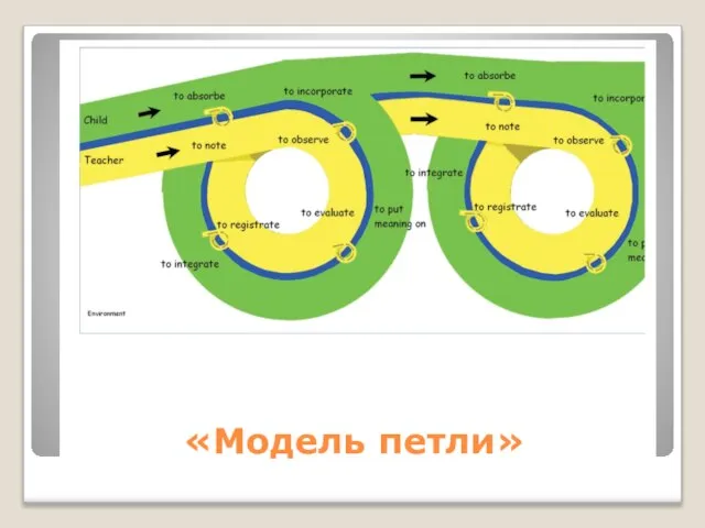 «Модель петли»