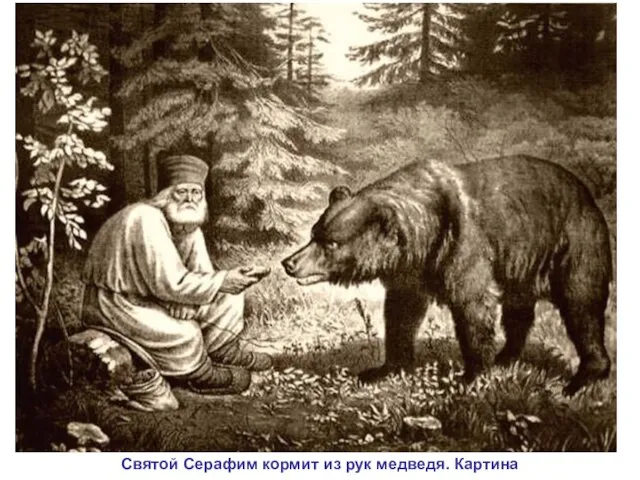 Святой Серафим кормит из рук медведя. Картина