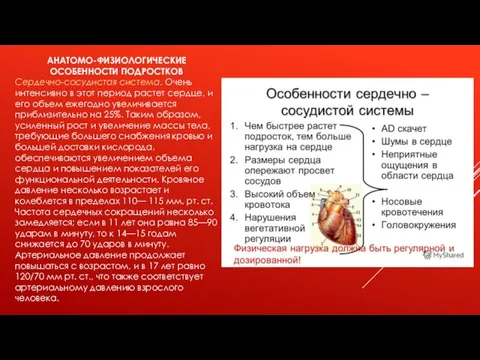 АНАТОМО-ФИЗИОЛОГИЧЕСКИЕ ОСОБЕННОСТИ ПОДРОСТКОВ Сердечно-сосудистая система. Очень интенсивно в этот период растет сердце,