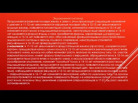 Эндокринная система. Продолжается развитие половых желез, в связи с этим происходят следующие