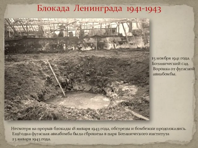 Блокада Ленинграда 1941-1943 15 ноября 1941 года. Ботанический сад. Воронка от фугасной