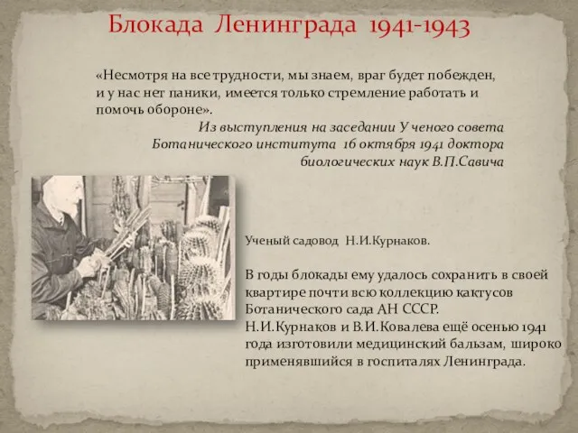 Блокада Ленинграда 1941-1943 Ученый садовод Н.И.Курнаков. В годы блокады ему удалось сохранить