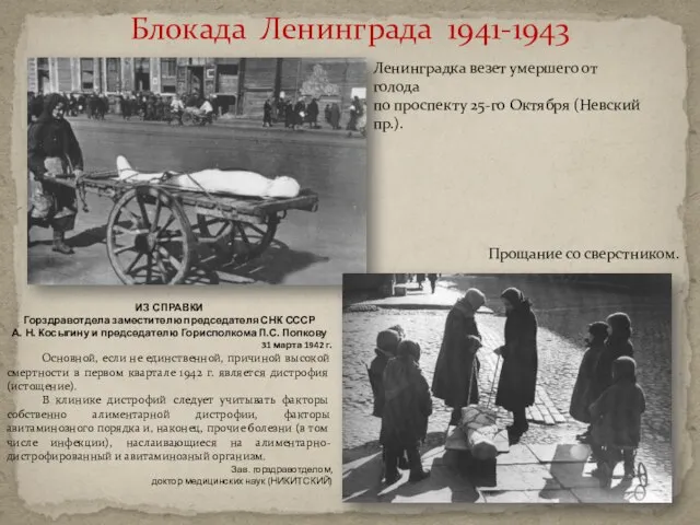 Блокада Ленинграда 1941-1943 Ленинградка везет умершего от голода по проспекту 25-го Октября