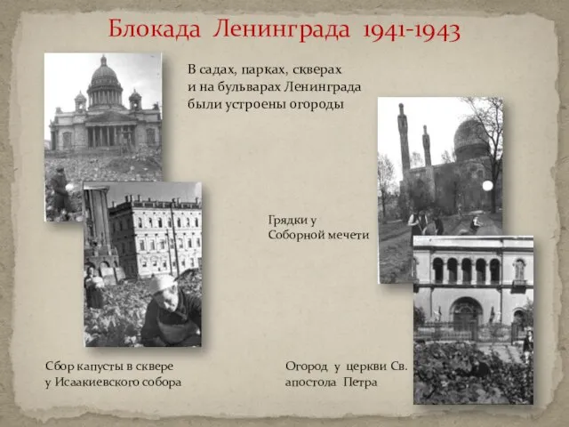 Блокада Ленинграда 1941-1943 В садах, парках, скверах и на бульварах Ленинграда были