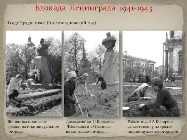 Блокада Ленинграда 1941-1943 Домохозяйки П.Королева, Ф.Бабкова и О.Иванова возделывают огород . Женщины