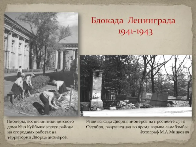 Блокада Ленинграда 1941-1943 Пионеры, воспитанники детского дома №10 Куйбышевского района, на огородных