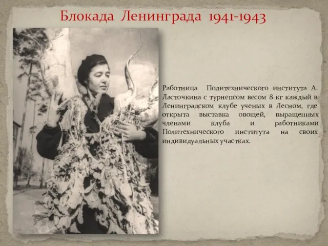 Блокада Ленинграда 1941-1943 Работница Политехнического института А.Ласточкина с турнепсом весом 8 кг