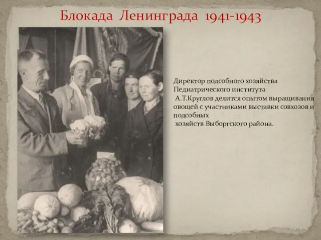 Блокада Ленинграда 1941-1943 Директор подсобного хозяйства Педиатрического института А.Т.Круглов делится опытом выращивания