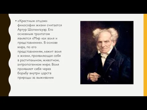 «Крестным отцом» философии жизни считается Артур Шопенгауэр. Его основным трактатом является «Мир