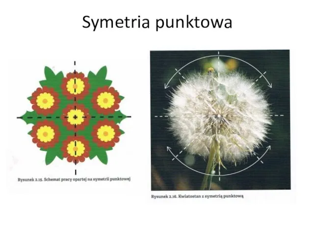 Symetria punktowa