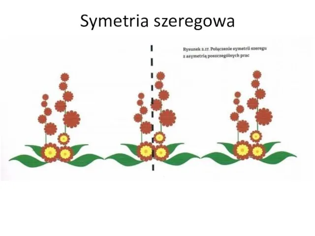 Symetria szeregowa