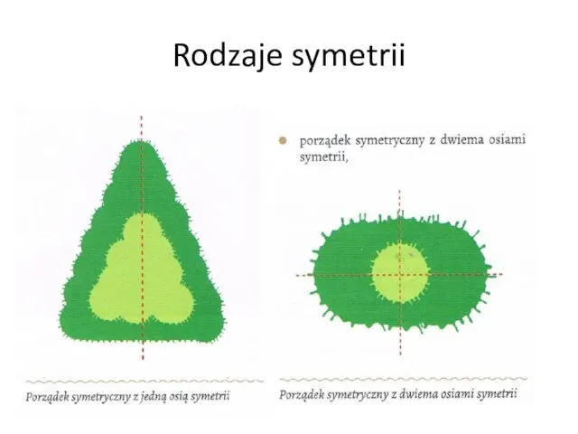 Rodzaje symetrii