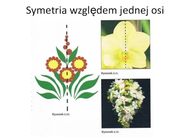 Symetria względem jednej osi