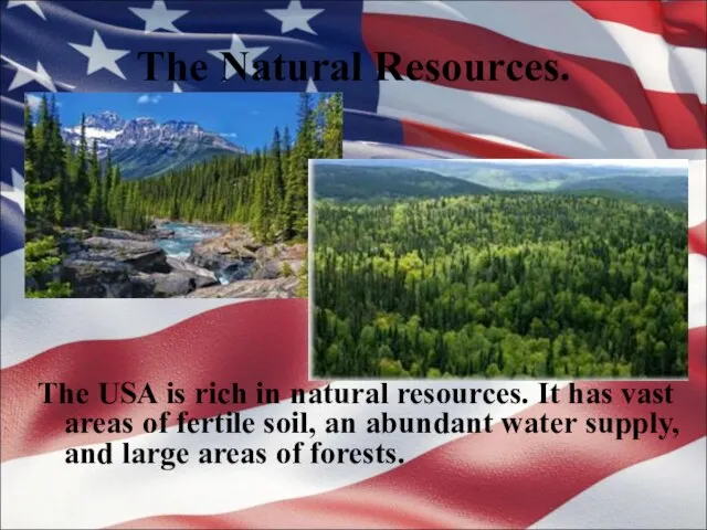 The Natural Resources. The USA is rich in natural resources. It has
