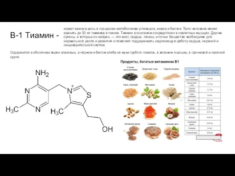 B-1 Тиамин - Содержится в оболочках зерен злаковых, в чёрном и белом