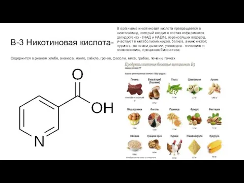B-3 Никотиновая кислота- Содержится в ржаном хлебе, ананасе, манго, свёкле, гречке, фасоли,