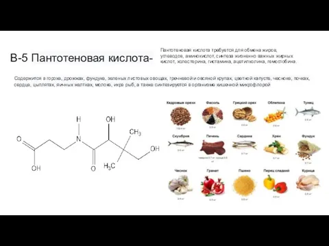 B-5 Пантотеновая кислота- Содержится в горохе, дрожжах, фундуке, зеленых листовых овощах, гречневой