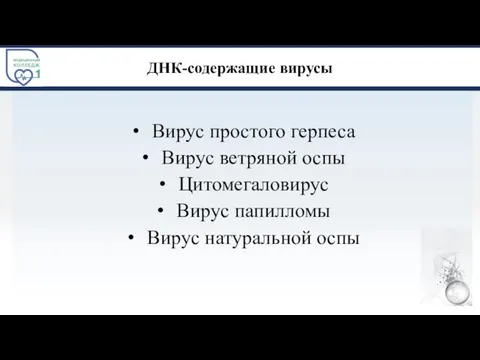 ДНК-содержащие вирусы Вирус простого герпеса Вирус ветряной оспы Цитомегаловирус Вирус папилломы Вирус натуральной оспы