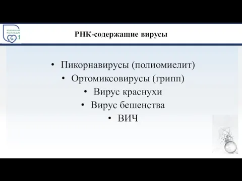 РНК-содержащие вирусы Пикорнавирусы (полиомиелит) Ортомиксовирусы (грипп) Вирус краснухи Вирус бешенства ВИЧ