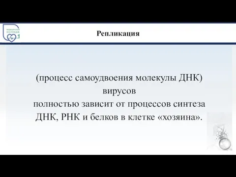 Репликация (процесс самоудвоения молекулы ДНК) вирусов полностью зависит от процессов синтеза ДНК,