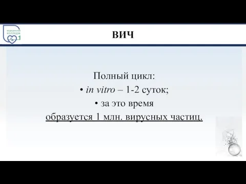 ВИЧ Полный цикл: • in vitro – 1-2 суток; • за это