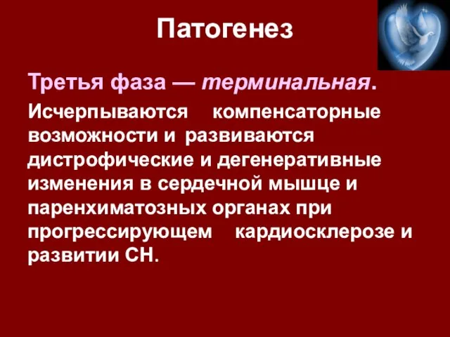 Патогенез Третья фаза — терминальная. Исчерпываются компенсаторные возможности и развиваются дистрофические и