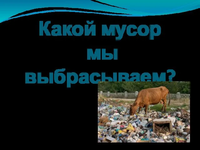 Какой мусор мы выбрасываем?