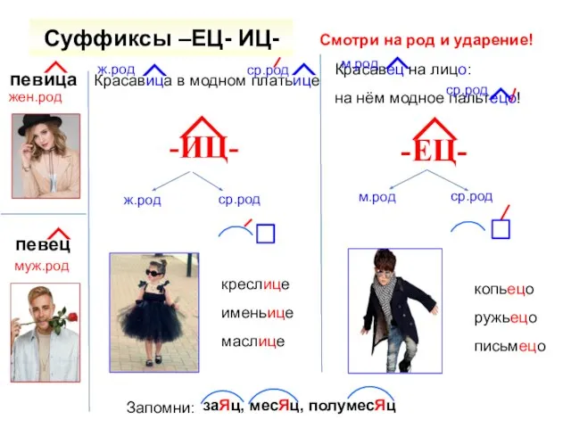 Суффиксы –ЕЦ- ИЦ- -ЕЦ- -ИЦ- певица жен.род певец муж.род Красавица в модном