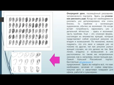 Очередной урок, посвящённый рисованию человеческого портрета. Здесь мы узнаем как рисовать уши.