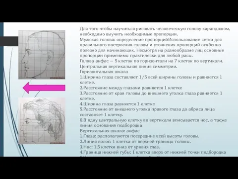 Для того чтобы научиться рисовать человеческую голову карандашом, необходимо выучить необходимые пропорции.