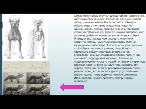 Самые популярные рисунки для детей это, конечно же, картинки собак и кошек.