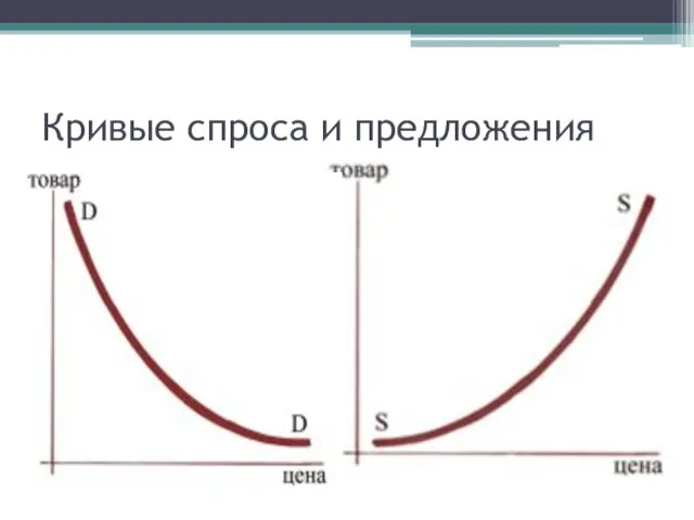 Кривые спроса и предложения