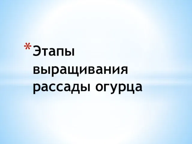 Этапы выращивания рассады огурца