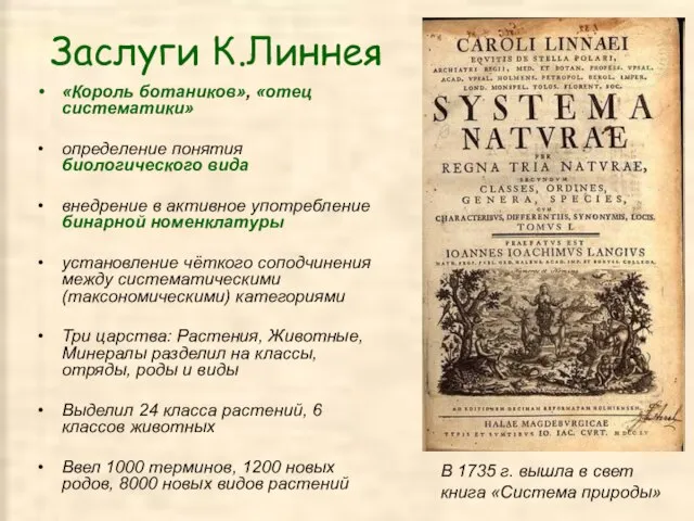 Заслуги К.Линнея «Король ботаников», «отец систематики» определение понятия биологического вида внедрение в