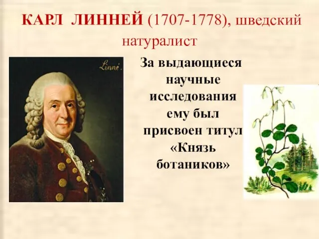 КАРЛ ЛИННЕЙ (1707-1778), шведский натуралист За выдающиеся научные исследования ему был присвоен титул «Князь ботаников»