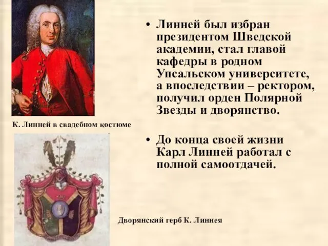 Линней был избран президентом Шведской академии, стал главой кафедры в родном Упсальском