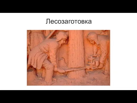 Лесозаготовка