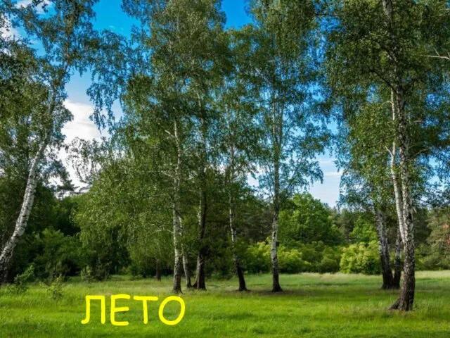 ЛЕТО