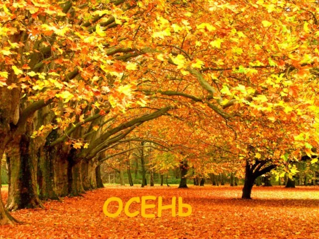 ОСЕНЬ