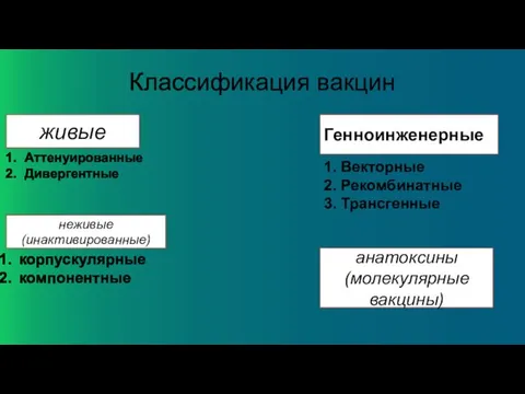 Классификация вакцин живые Аттенуированные Дивергентные Генноинженерные 1. Векторные 2. Рекомбинатные 3. Трансгенные