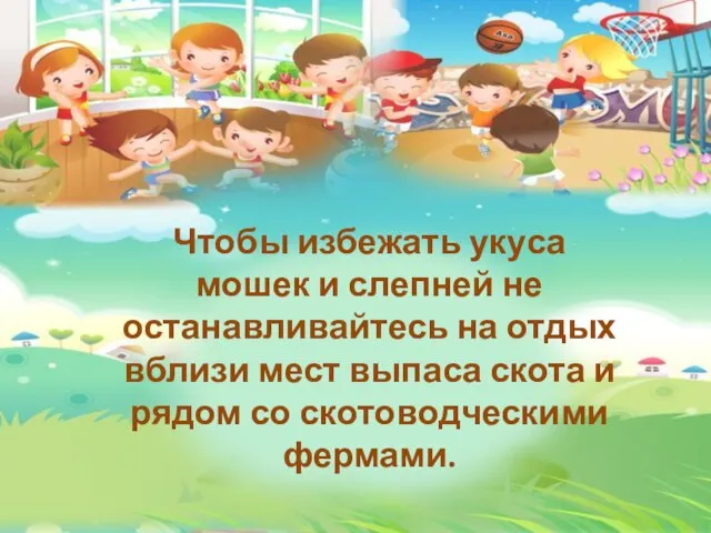 Чтобы избежать укуса мошек и слепней не останавливайтесь на отдых вблизи мест