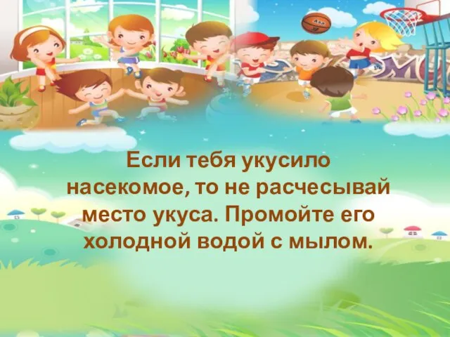 Если тебя укусило насекомое, то не расчесывай место укуса. Промойте его холодной водой с мылом.