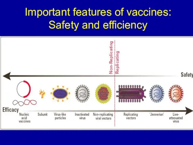 Important features of vaccines: Safety and efficiency