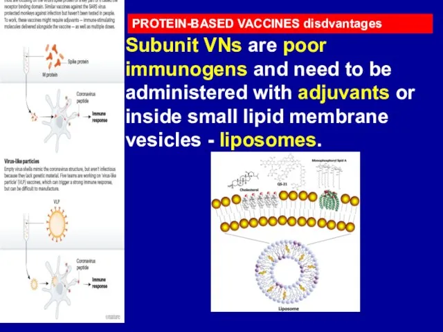 PROTEIN-BASED VACCINES disdvantages Subunit VNs are poor immunogens and need to be