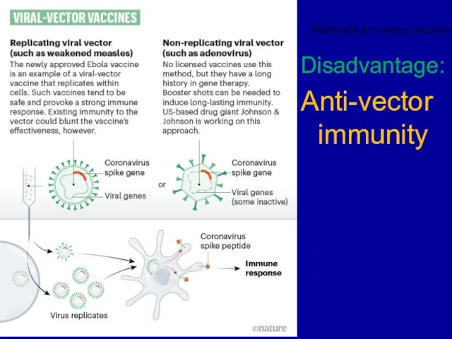 Disadvantage: Anti-vector immunity Platforms for vector vaccines: