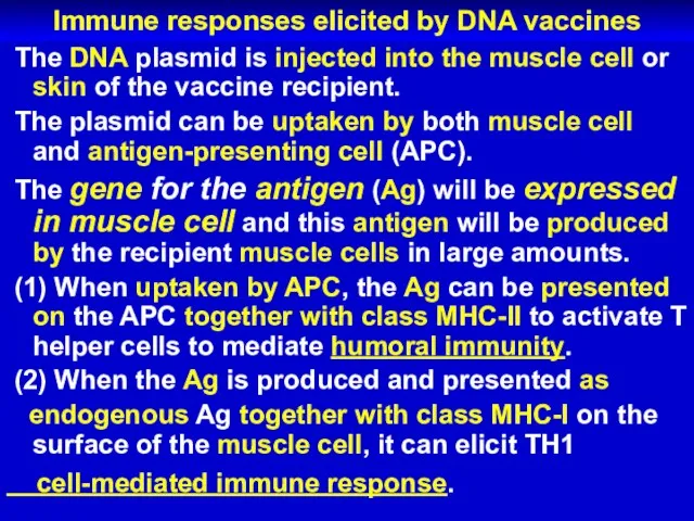 Immune responses elicited by DNA vaccines The DNA plasmid is injected into