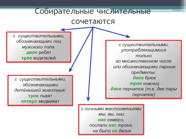 Собирательные числительные сочетаются с существительными, обозначающими лиц мужского пола: двое ребят трое