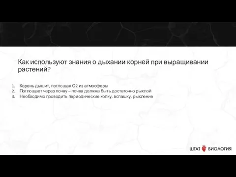 Как используют знания о дыхании корней при выращивании растений? Корень дышит, поглощая